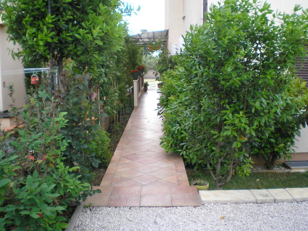 Apartment Casa Del Sol